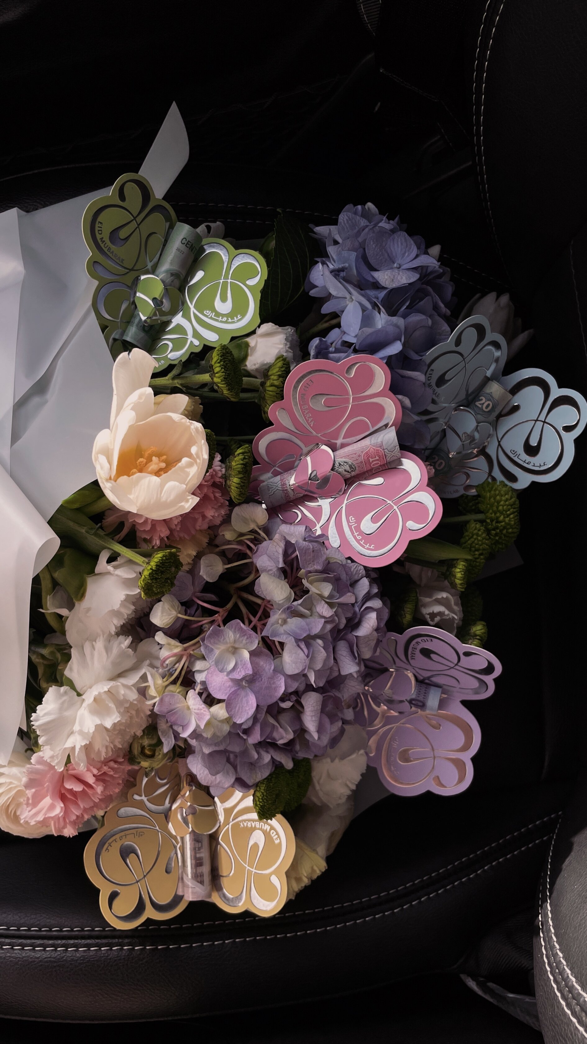 Processed with VSCO with dog1 preset