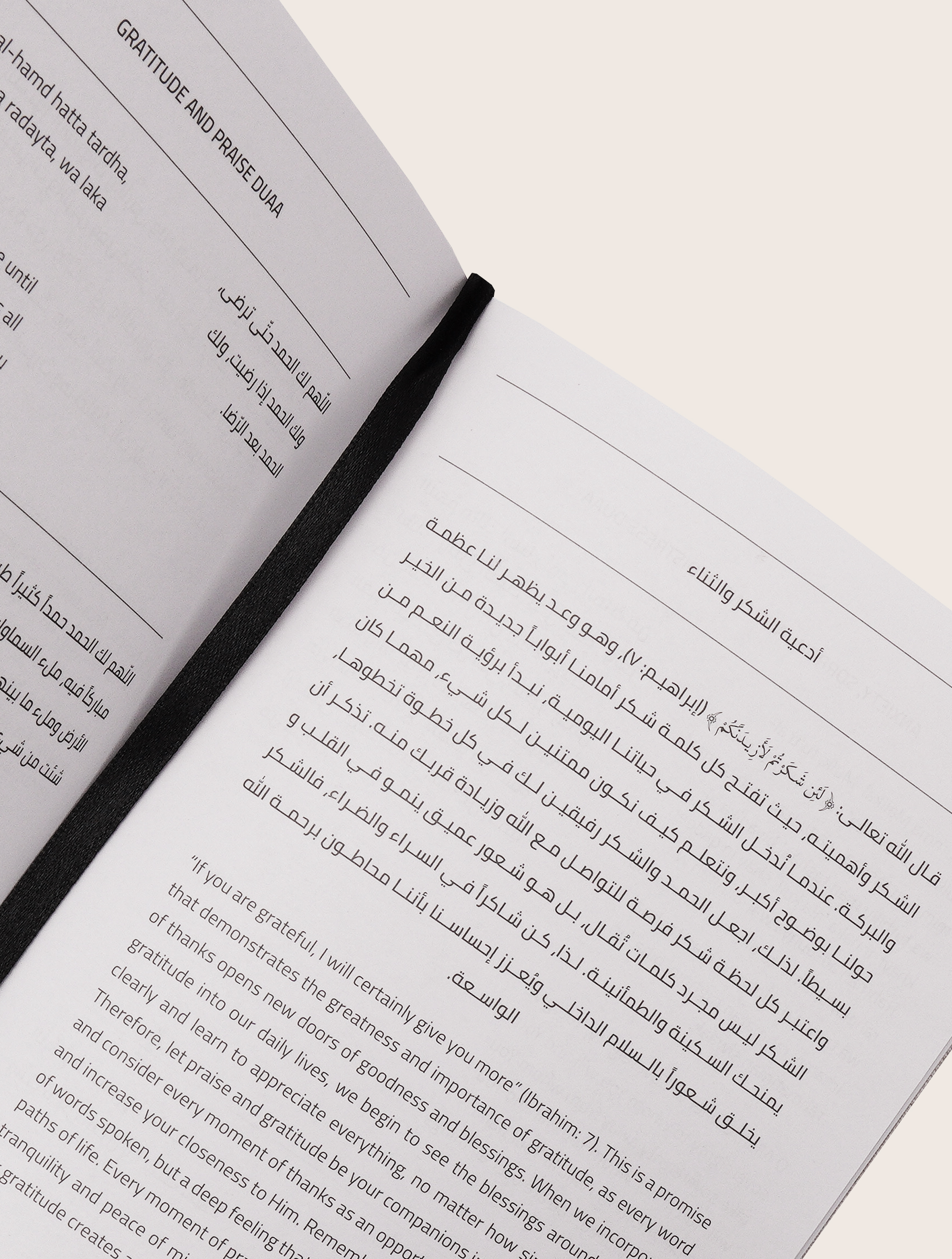 notebook-beige-planner-inside-pages-4-